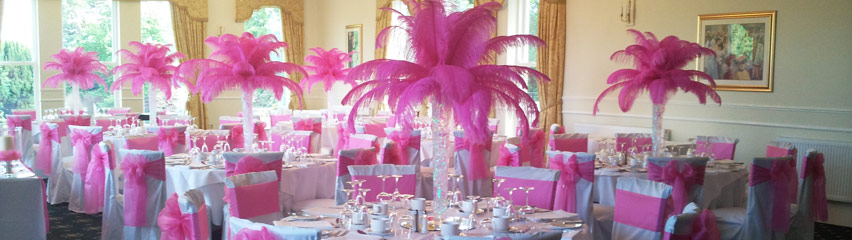 Grinkle park - hot pink feather displays and bows