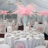 Rushpool Hall marquee - light pink feather displays